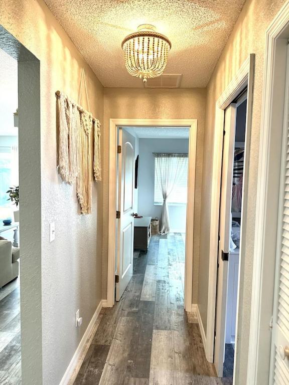 Villa Maria Salt Sun 7 Minutes To Indian Rocks Beach Largo Exterior foto